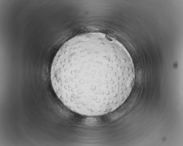 X0000116260418201001110957