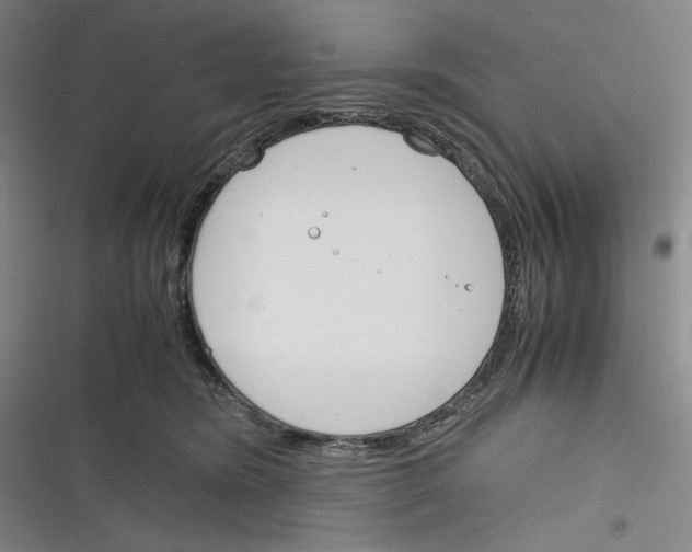 X0000116260420201001110957