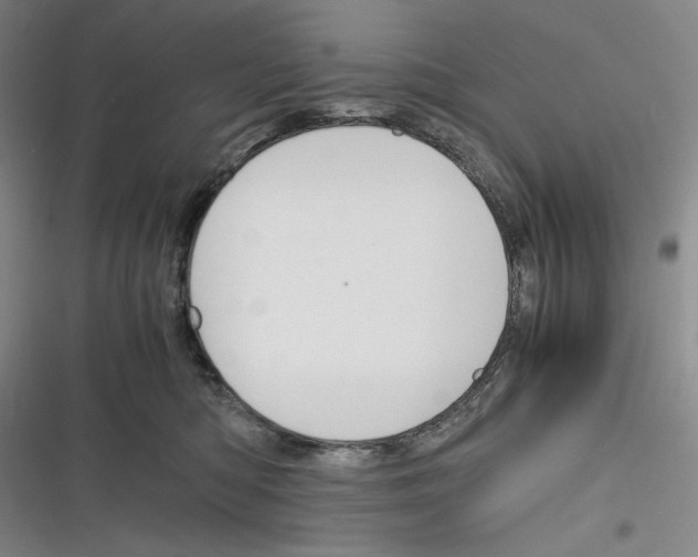 X0000116260422201001110957