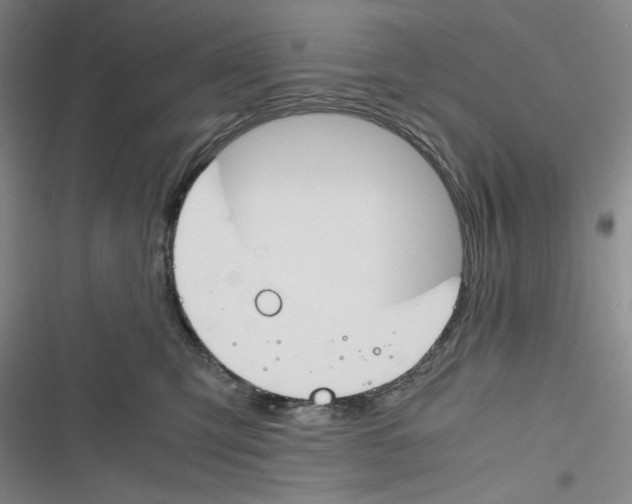 X0000116260423201001110957