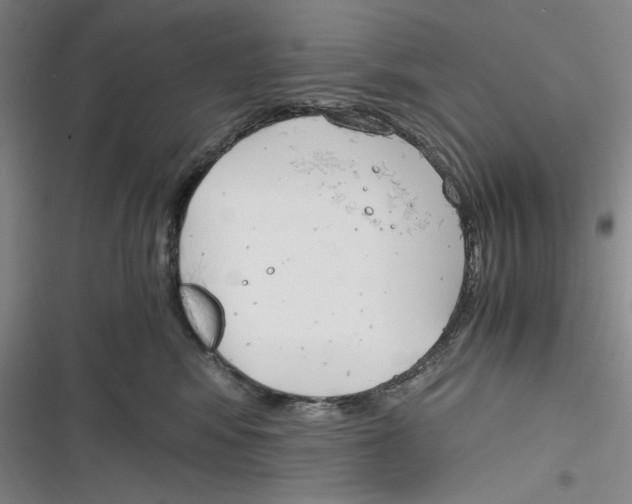 X0000116260424201001110957