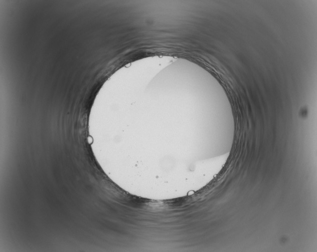 X0000116260425201001110957