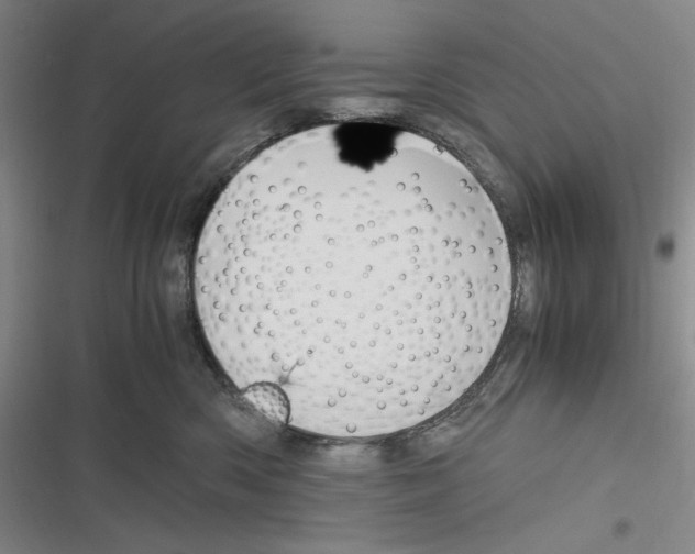 X0000116260426201001110957