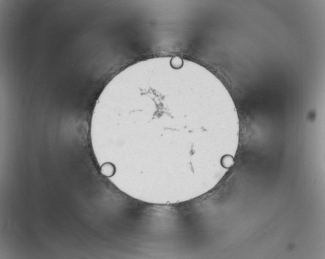 X0000116260427201001110957