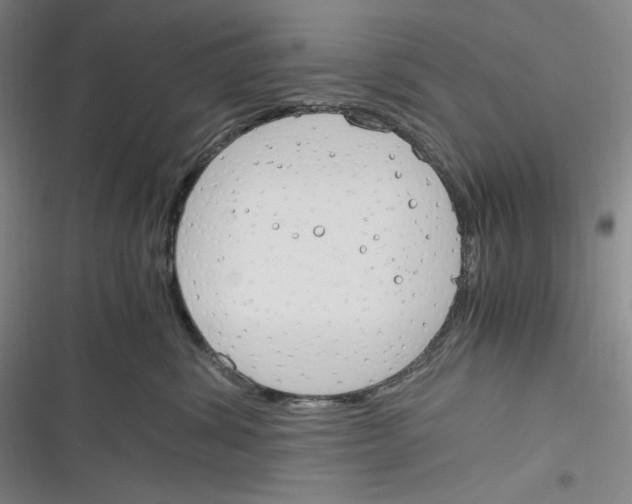 X0000116260428201001110957