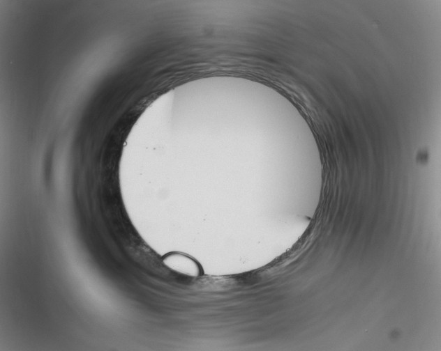 X0000116260429201001110957