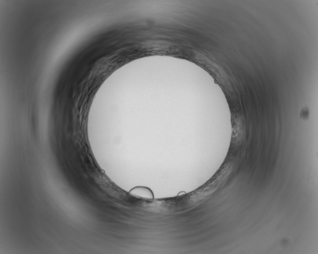 X0000116260430201001110957
