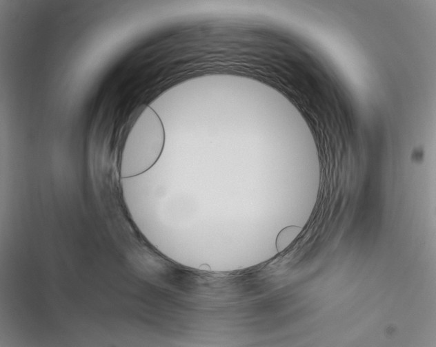 X0000116260431201001110957