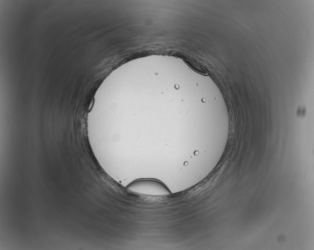 X0000116260432201001110957