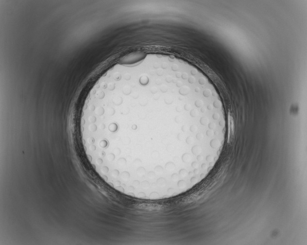 X0000116260435201001110957