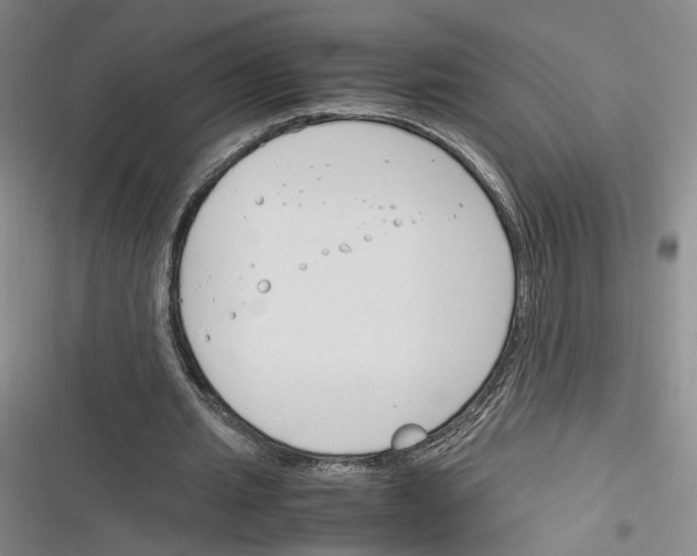 X0000116260437201001110957