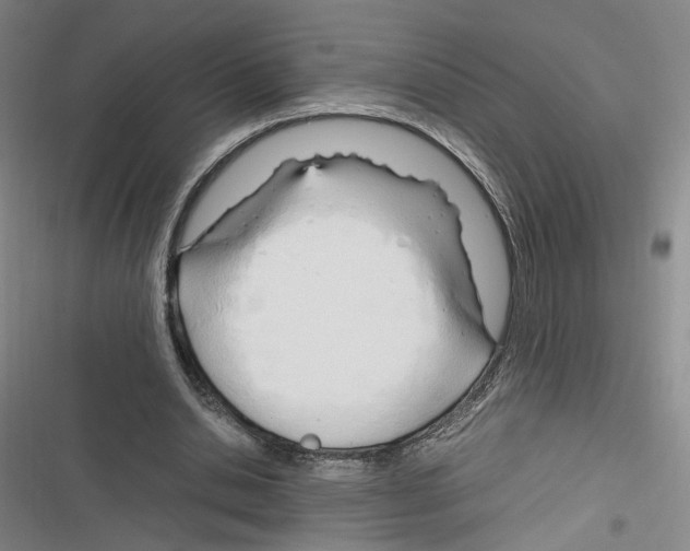 X0000116260438201001110957