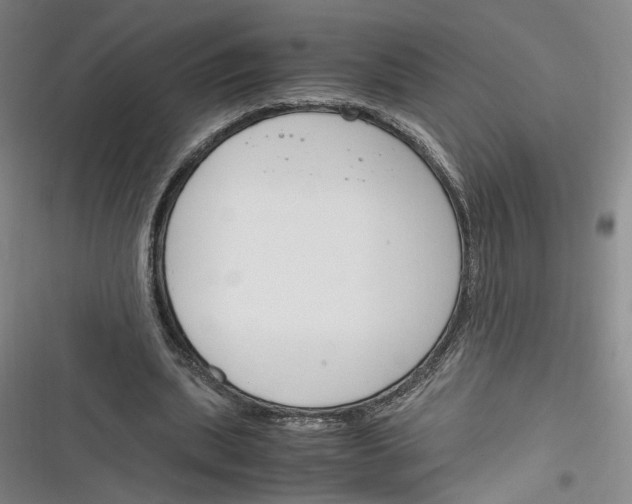 X0000116260439201001110957