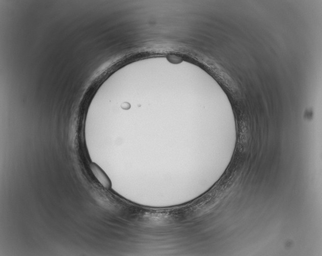 X0000116260440201001110957