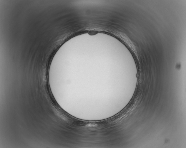 X0000116260441201001110957