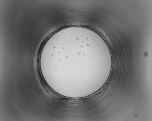 X0000116260443201001110957