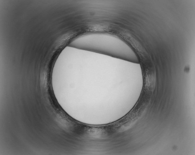 X0000116260444201001110957