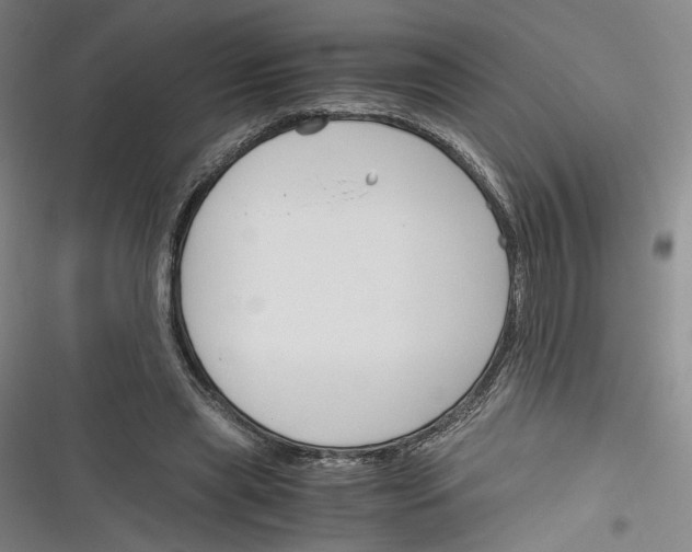 X0000116260445201001110957