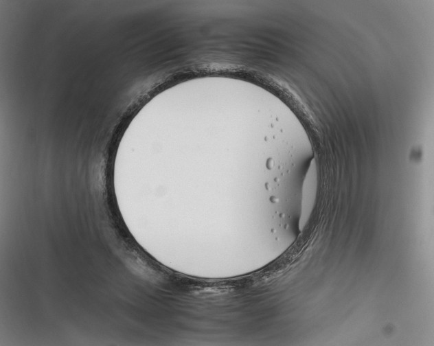 X0000116260447201001110957
