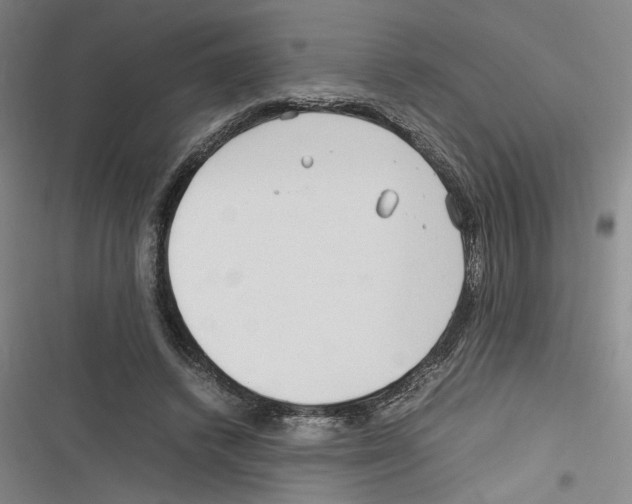 X0000116260448201001110957