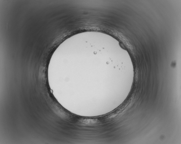X0000116260449201001110957