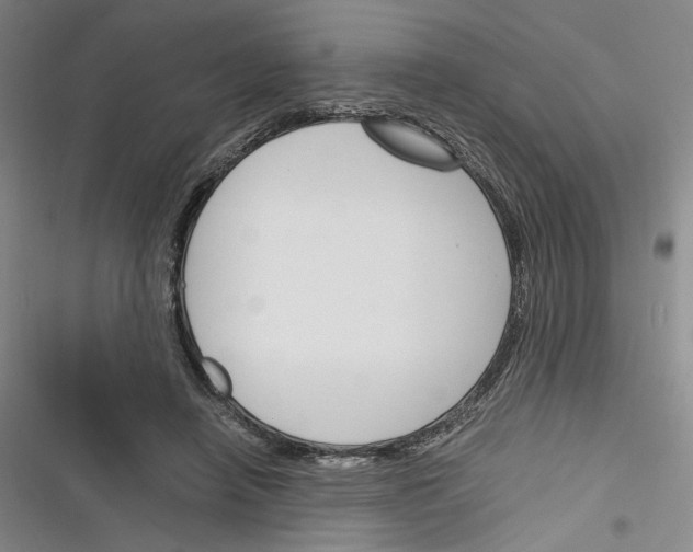 X0000116260450201001110957