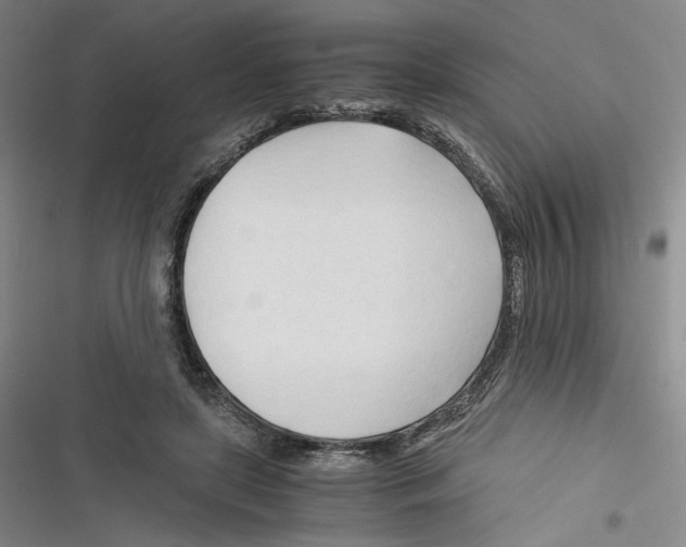 X0000116260451201001110957