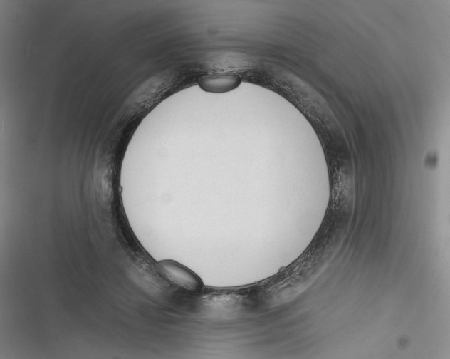 X0000116260452201001110957
