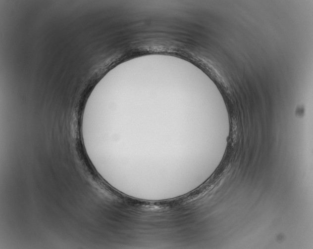 X0000116260453201001110957