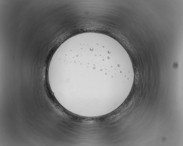 X0000116260454201001110957