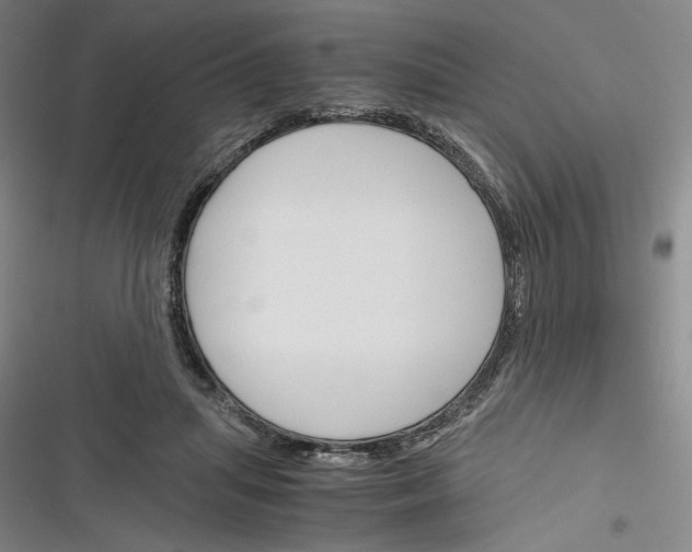 X0000116260455201001110957