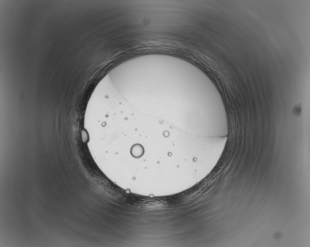 X0000116260456201001110957