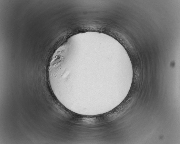 X0000116260457201001110957