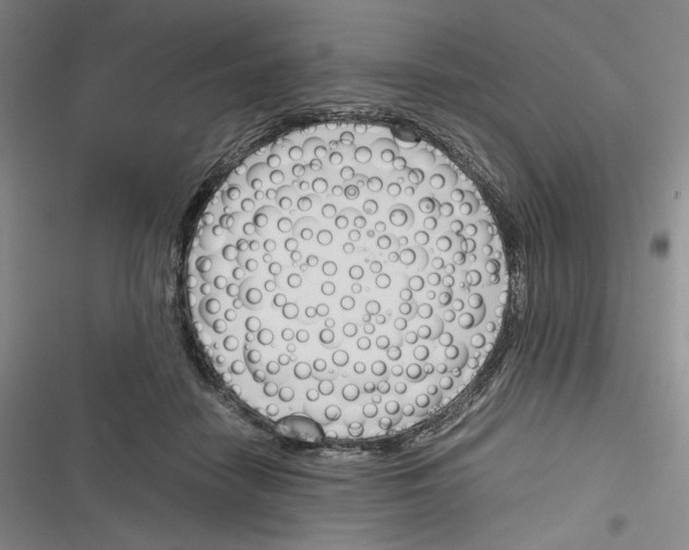 X0000116260458201001110957