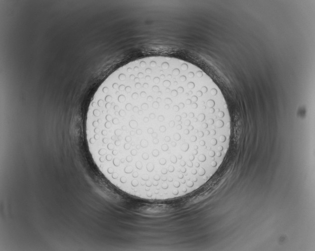 X0000116260459201001110957