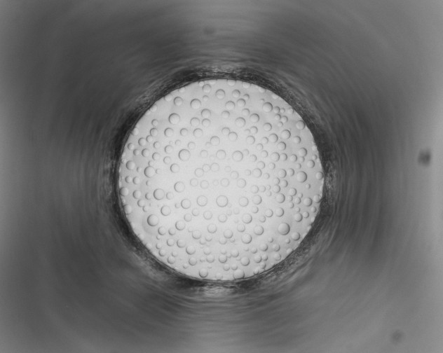 X0000116260462201001110957