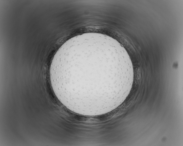 X0000116260463201001110957