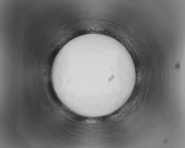 X0000116260464201001110957