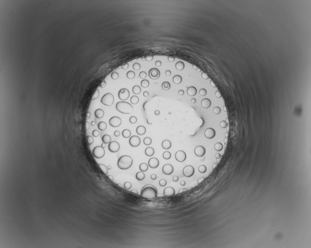 X0000116260466201001110957