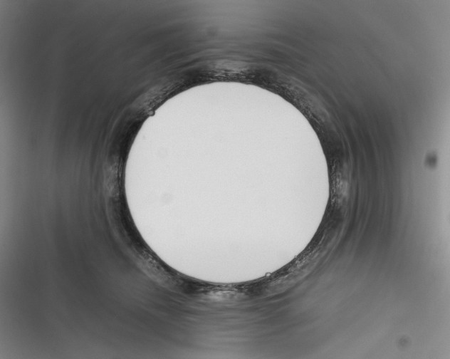 X0000116260468201001110957