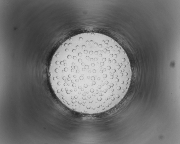 X0000116260470201001110957