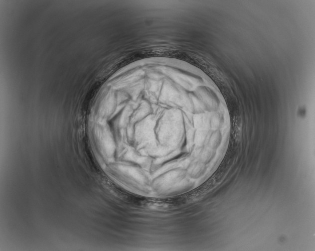 X0000116260471201001110957