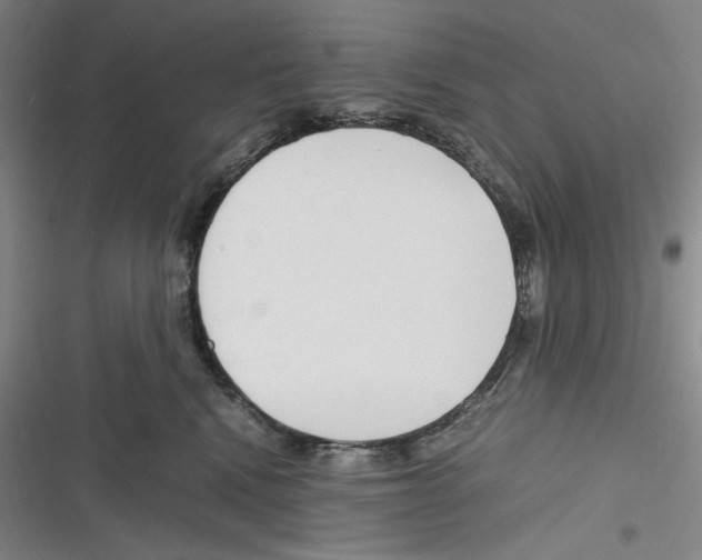 X0000116260472201001110957