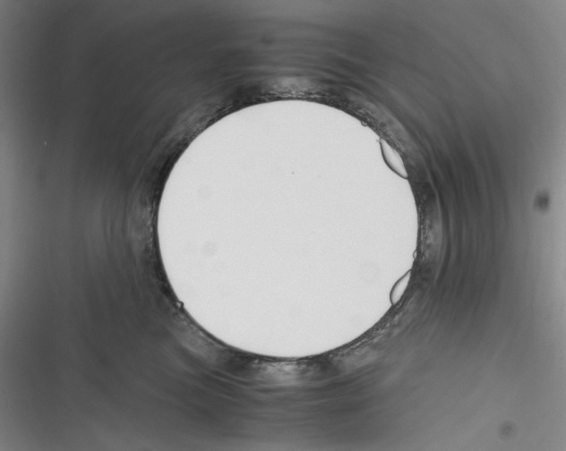 X0000116260473201001110957