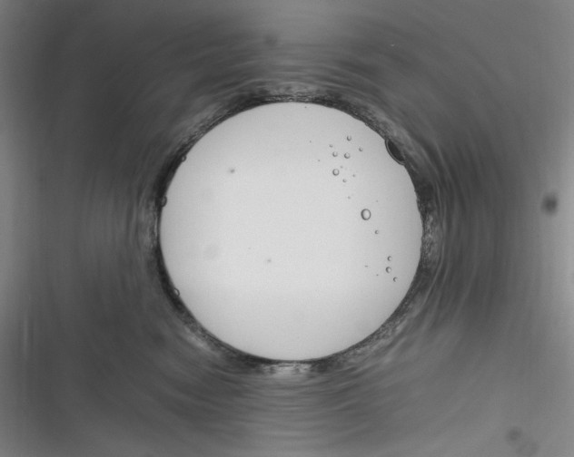 X0000116260474201001110957