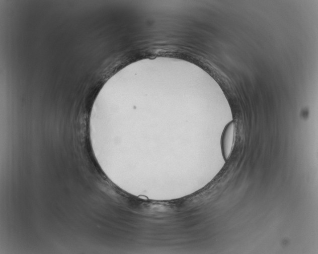 X0000116260475201001110957