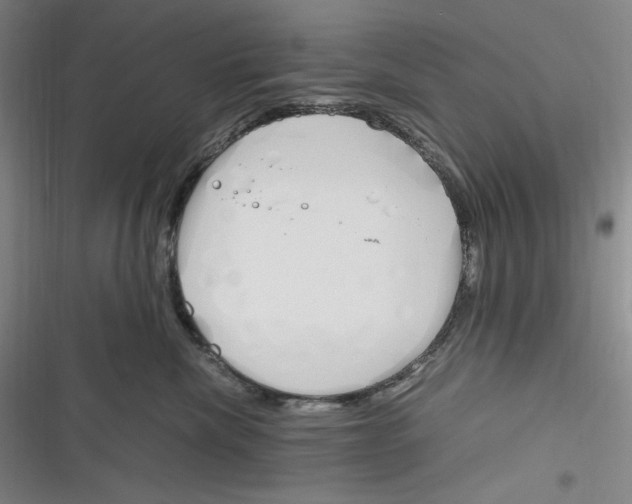 X0000116260476201001110957