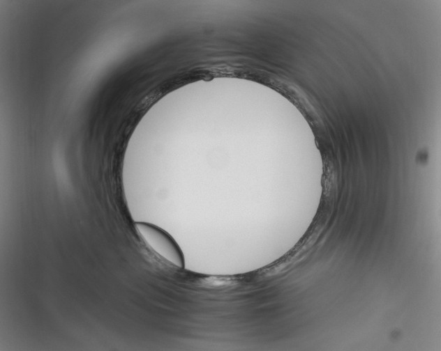 X0000116260477201001110957