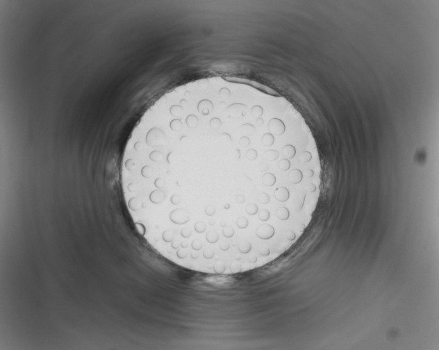 X0000116260478201001110957