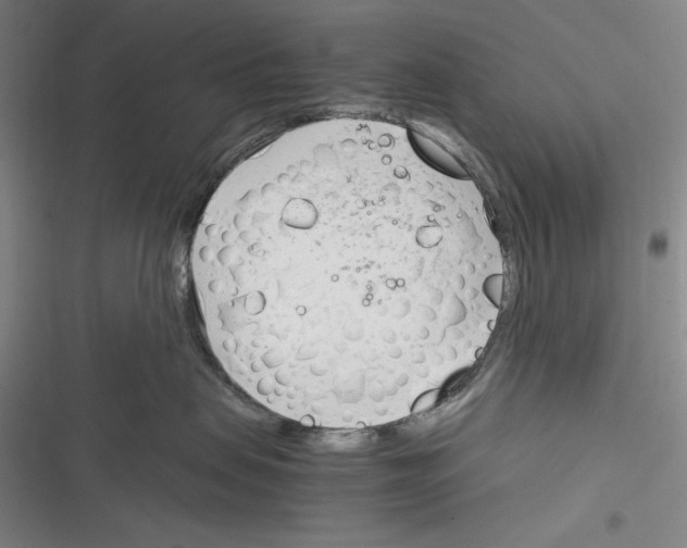 X0000116260479201001110957